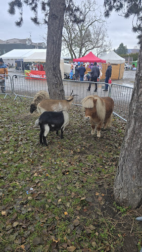 Opinii despre Stupavský trh în Stupava - Gastronómia a pohostinstvo