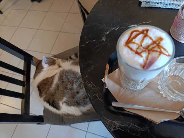 Comentarii opinii despre Mačkafé klub