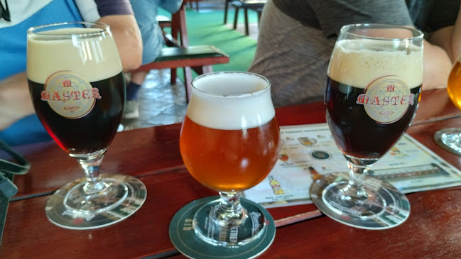 Comentarii opinii despre Bizón Urquell Pub