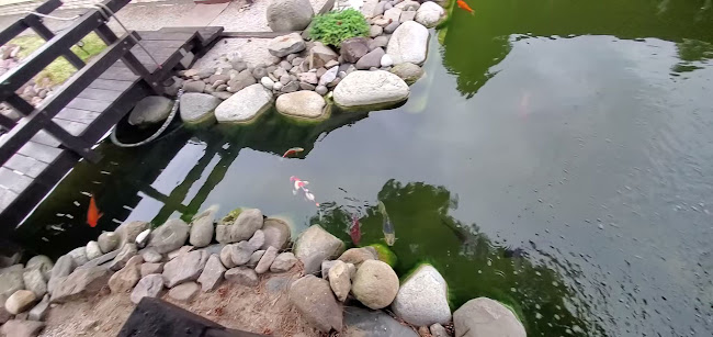 Opinii despre Čajovňa v Tibet Parku în Nové Zámky - Gastronómia a pohostinstvo