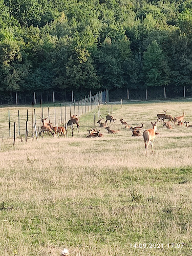 Reštaurácia pod Hôrkou - Lesné