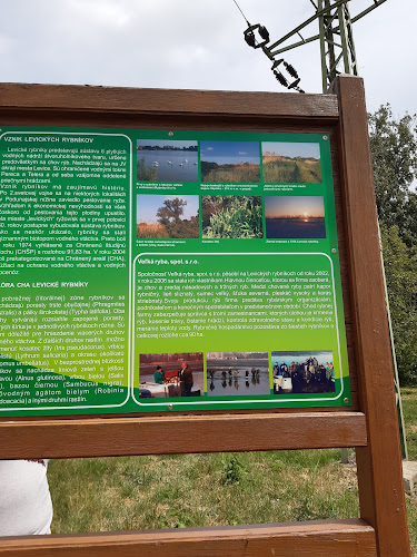 Levické rybníky s.r.o.