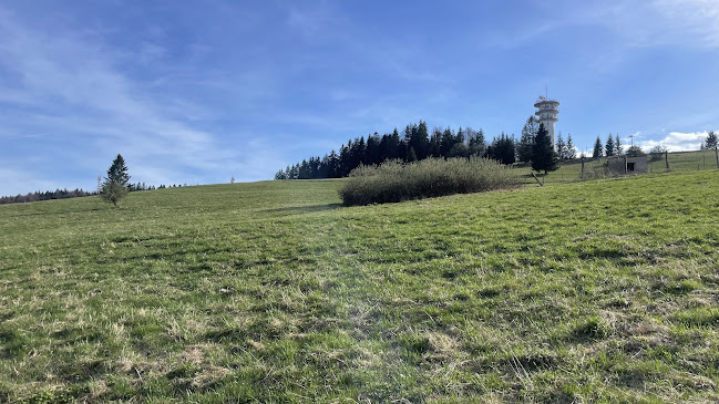 Diel 5584, 976 44 Mýto pod Ďumbierom