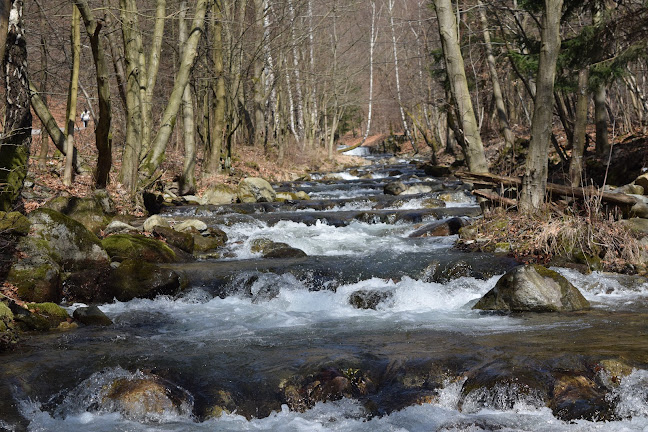 Comentarii opinii despre Chata Fatranka