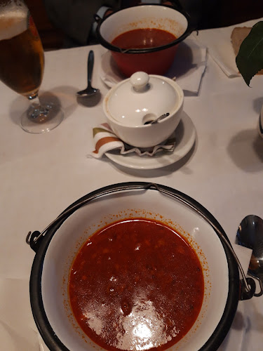 Opinii despre Čárda pri Váhu în Komárno - Gastronómia a pohostinstvo