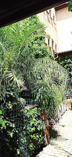 Comentarii opinii despre Poľovnícka vináreň "Polovka"