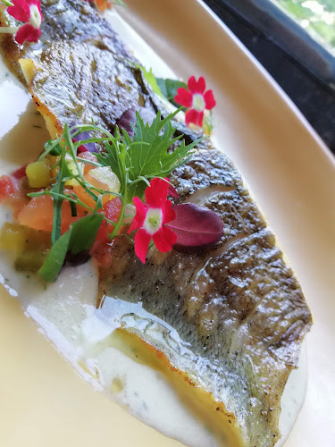 Opinii despre Pálenica Jelšovce în Jelšovce - Gastronómia a pohostinstvo