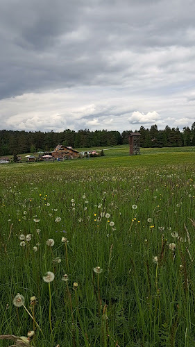 Opinii despre Novakova chata în Smižany - Gastronómia a pohostinstvo