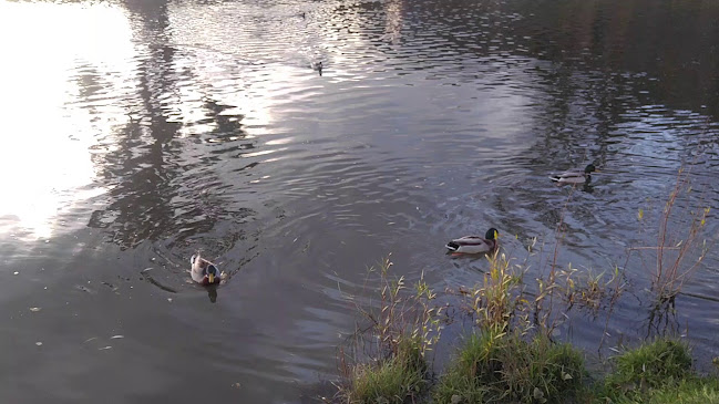 Občerstvenie SÚDKY