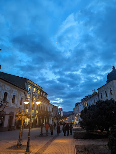 Opinii despre Pekáreň Mihalik în Banská Bystrica - Gastronómia a pohostinstvo