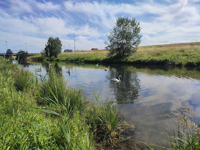 Cafe Dunaj - Gastronómia a pohostinstvo
