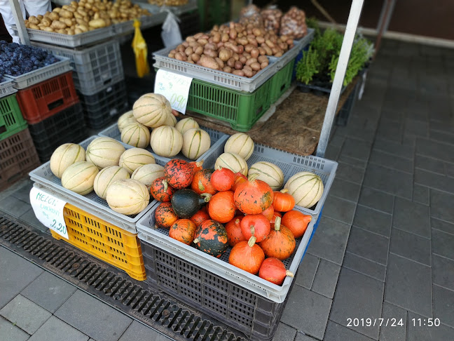 Comentarii opinii despre Campo Kaviareň Claud