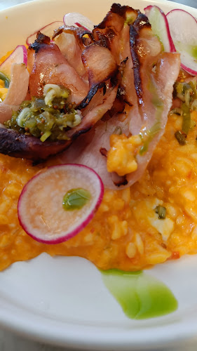 Opinii despre Gatto Matto Ventúrska în Bratislava - Gastronómia a pohostinstvo