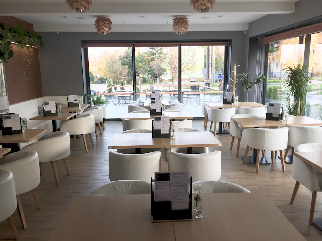 Comentarii opinii despre Tree club