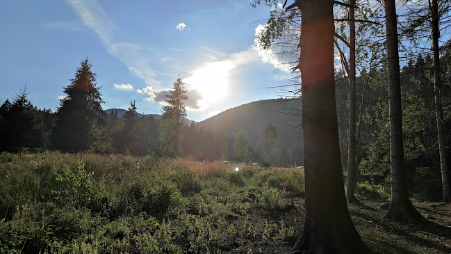 Pohostinstvo Jedľoviny u Ivana - Gastronómia a pohostinstvo