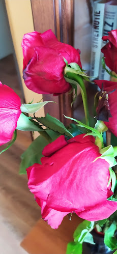 Opinii despre Kvetinárstvo A & Z IRIS s.r.o. în Stará Turá - Gastronómia a pohostinstvo