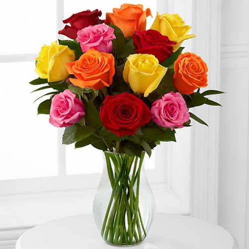 Kvety domov - Bratislava