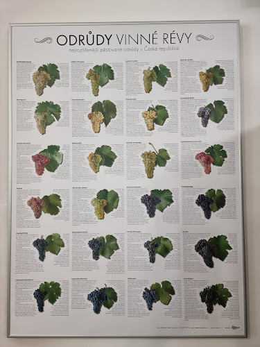 Opinii despre areál THEBENER - Devínsky ríbezlák în Devín - Gastronómia a pohostinstvo