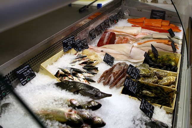 MyFish - Čerstvé ryby a morské plody - Gastronómia a pohostinstvo