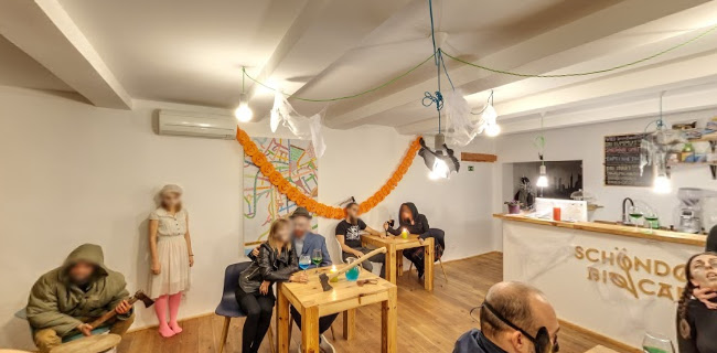 Comentarii opinii despre Schöndorf Bratislava