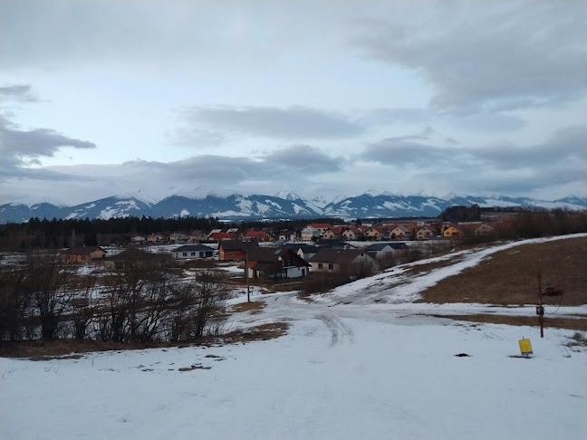 Comentarii opinii despre Krčma u Kubka