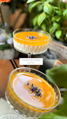 Comentarii opinii despre Le Griffon