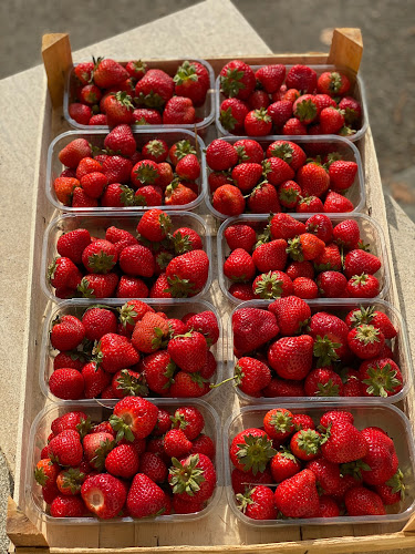 Comentarii opinii despre Cafe Trdlo, čerstvé ovocie v čokoláde