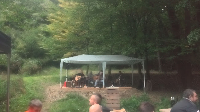 Comentarii opinii despre Lesné bistro Vážka