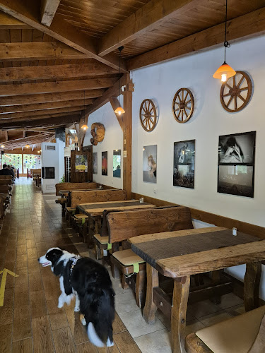 Motorest Rieka - Kraľovany