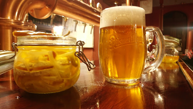 Opinii despre Prezidentská Piváreň în Prešov - Gastronómia a pohostinstvo