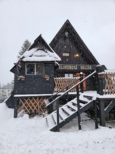 Comentarii opinii despre Reštaurácia Slovenská koliba