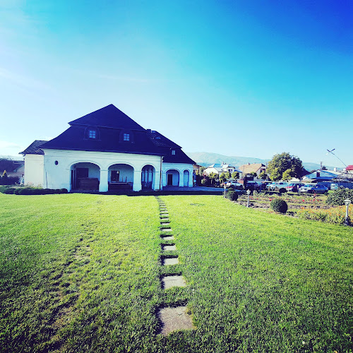 Comentarii opinii despre HAPPY FOOT KOLONKA