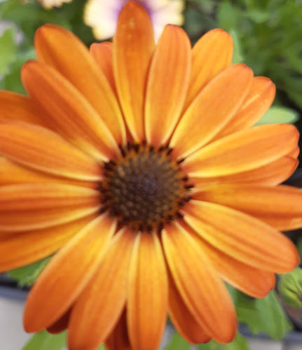 Tržnica Priekopa - Martin