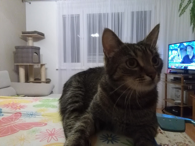 Hostinec Letro - Gastronómia a pohostinstvo