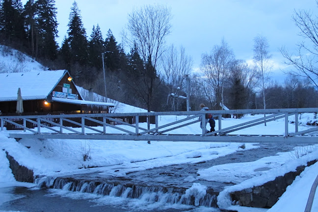 Comentarii opinii despre Pod Vlekom