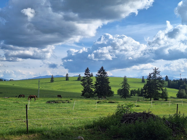 Comentarii opinii despre Salaš Žiar