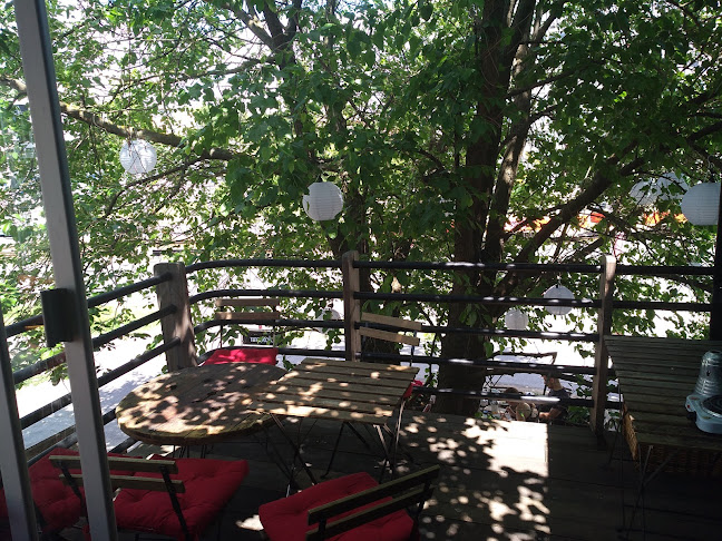 Comentarii opinii despre Kontajner na Riviére II