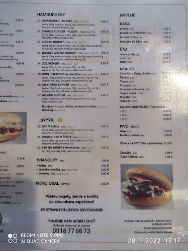 Nitrianska cesta 958 01, Partizánske 1134, 1134 Partizánske