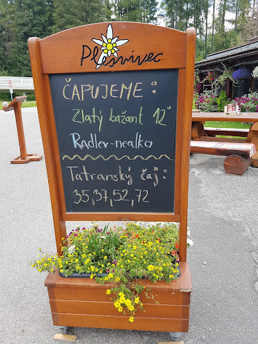 Comentarii opinii despre Reštaurácia Plesnivec