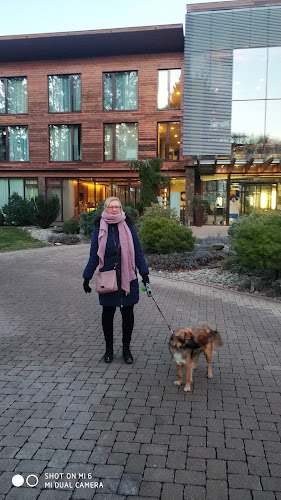 Piesok 4015/B7, 90001 Modra