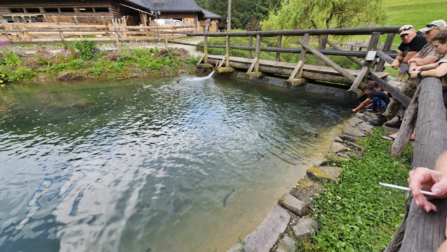 Koliba u Dobrého pastiera - penzión a reštaurácia