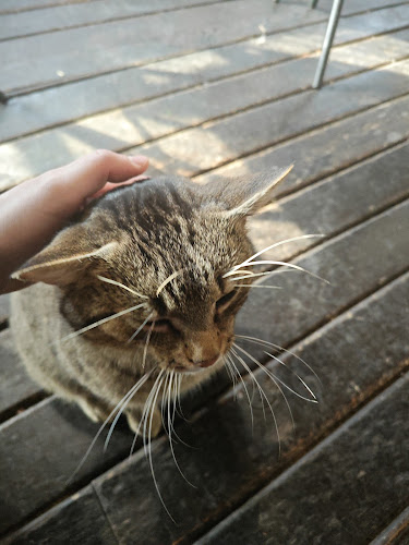 Rímska, 841 10 Devín