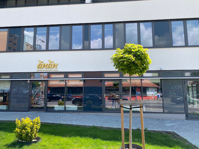 Rustaveliho 10234/10 A, 831 06 Rača