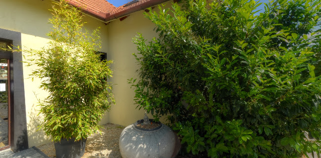 Tibet Park, Gúgska 134, 940 02 Nové Zámky