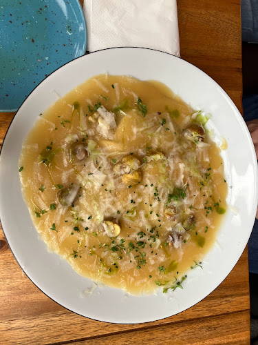 Gatto Matto Rusovce - Rusovce