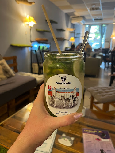 Mačkafé klub - Gastronómia a pohostinstvo
