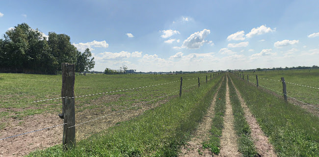 924 01 Galanta, Slovensko