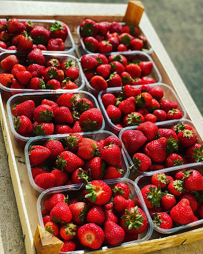 Antona Bernoláka 51 Odborov, 010 01 Žilina