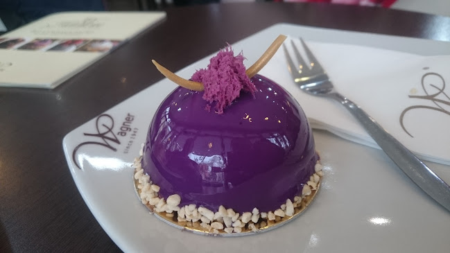 Comentarii opinii despre Wagner