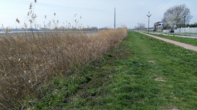 Opinii despre Levické rybníky s.r.o. în Levice - Gastronómia a pohostinstvo